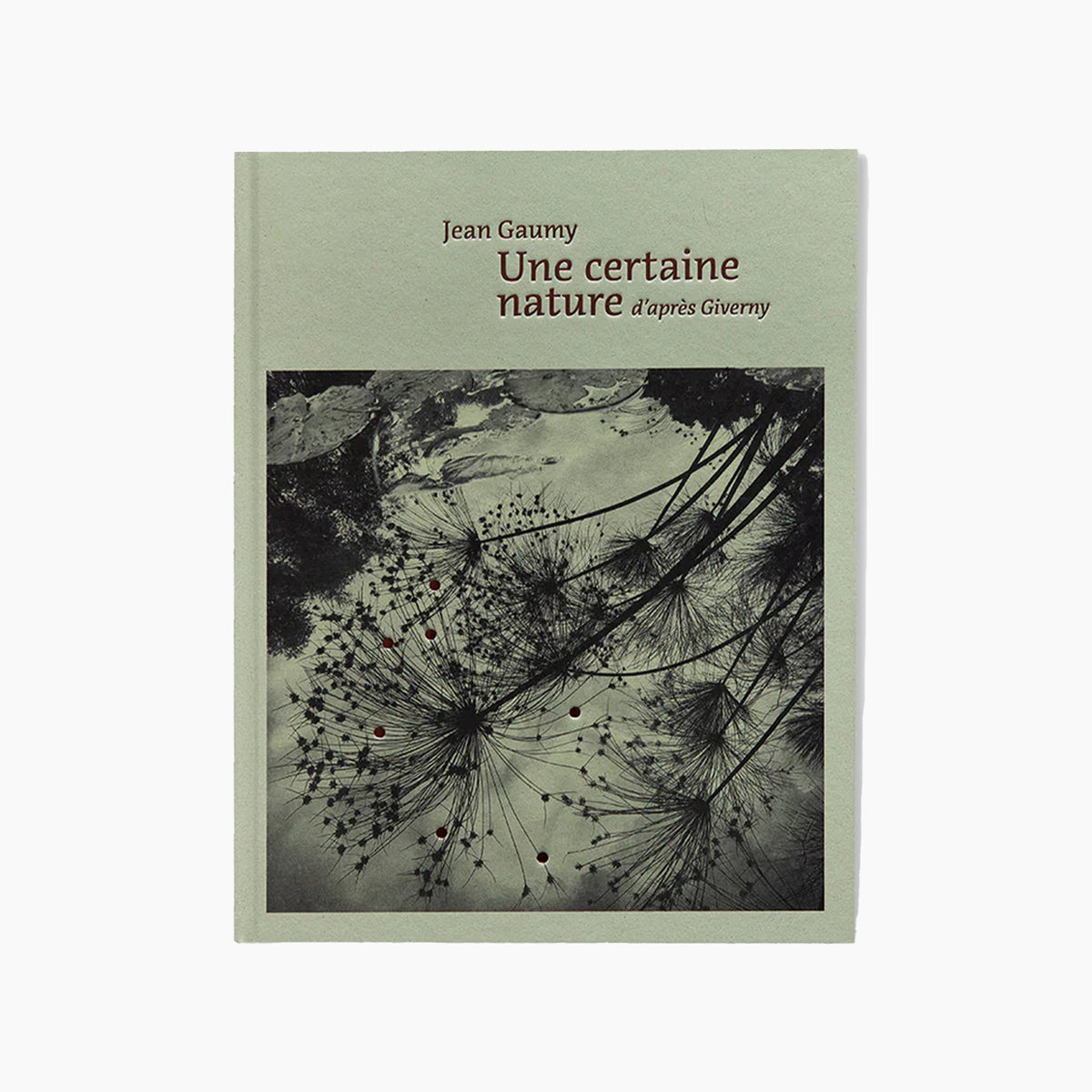 Jean Gaumy: A Certain Nature