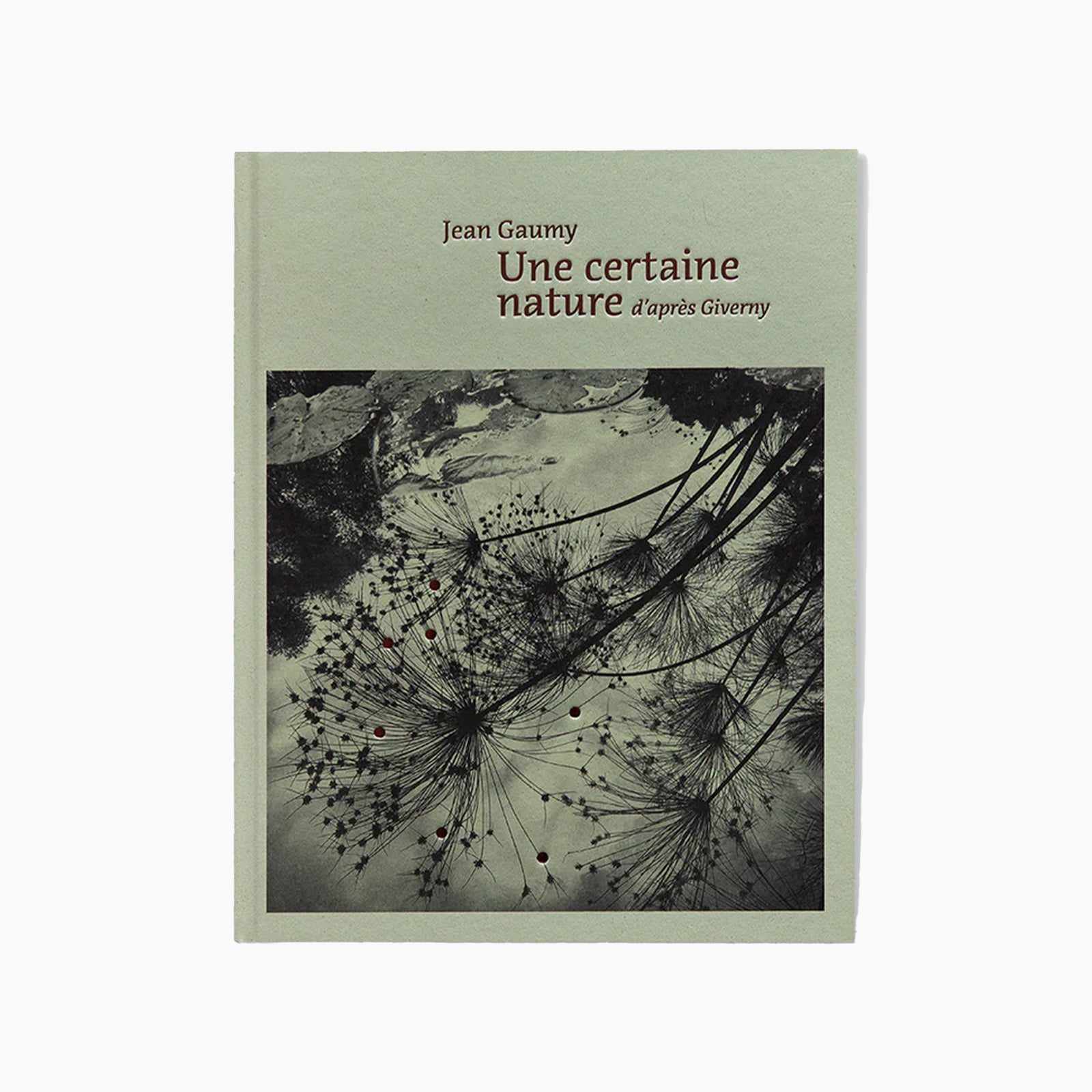 Jean Gaumy: A Certain Nature
