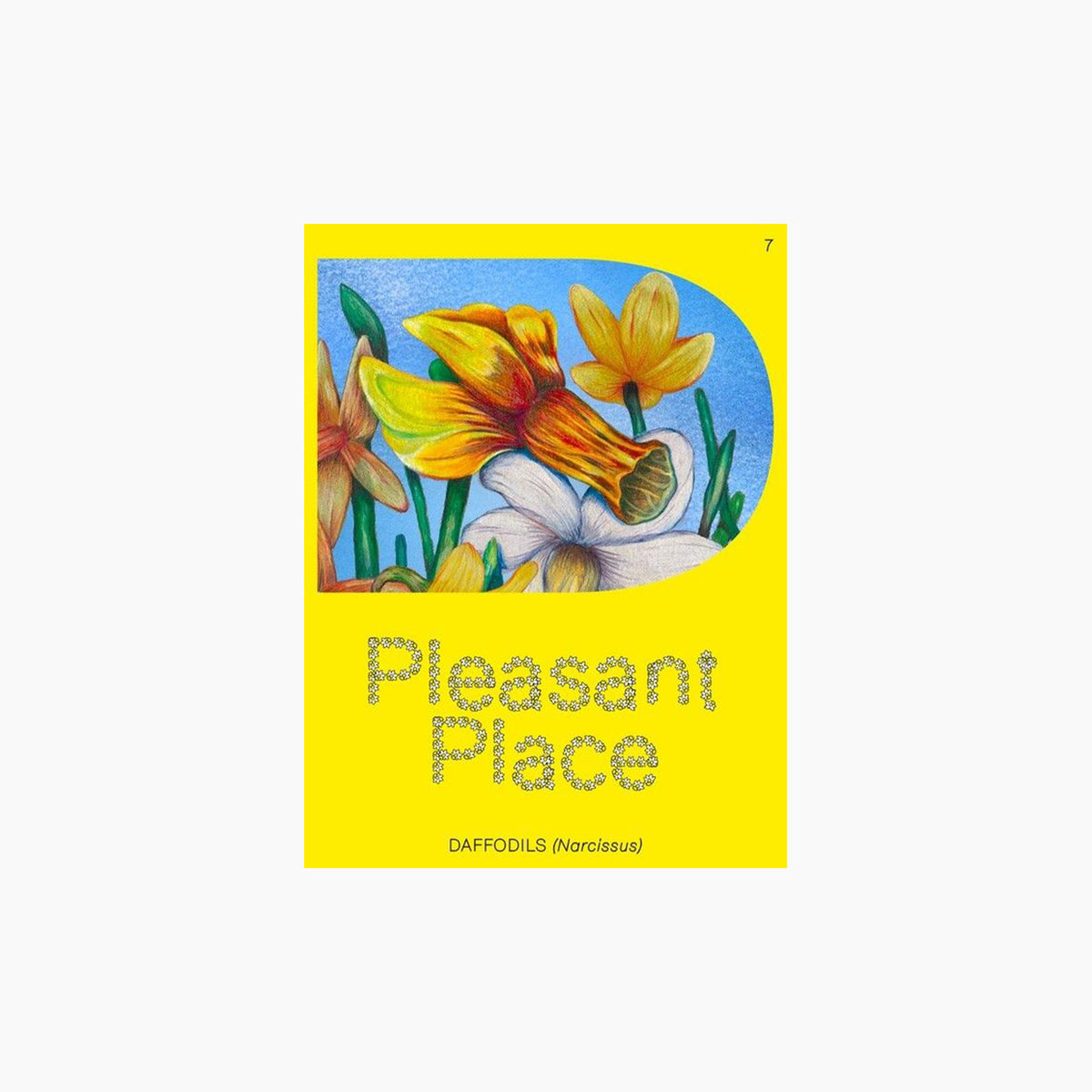 Pleasant Place 7: Daffodils